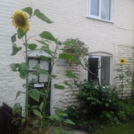 Mauds Cottage 1 West Raynham Екстериор снимка