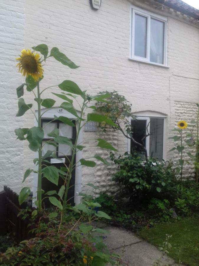 Mauds Cottage 1 West Raynham Екстериор снимка